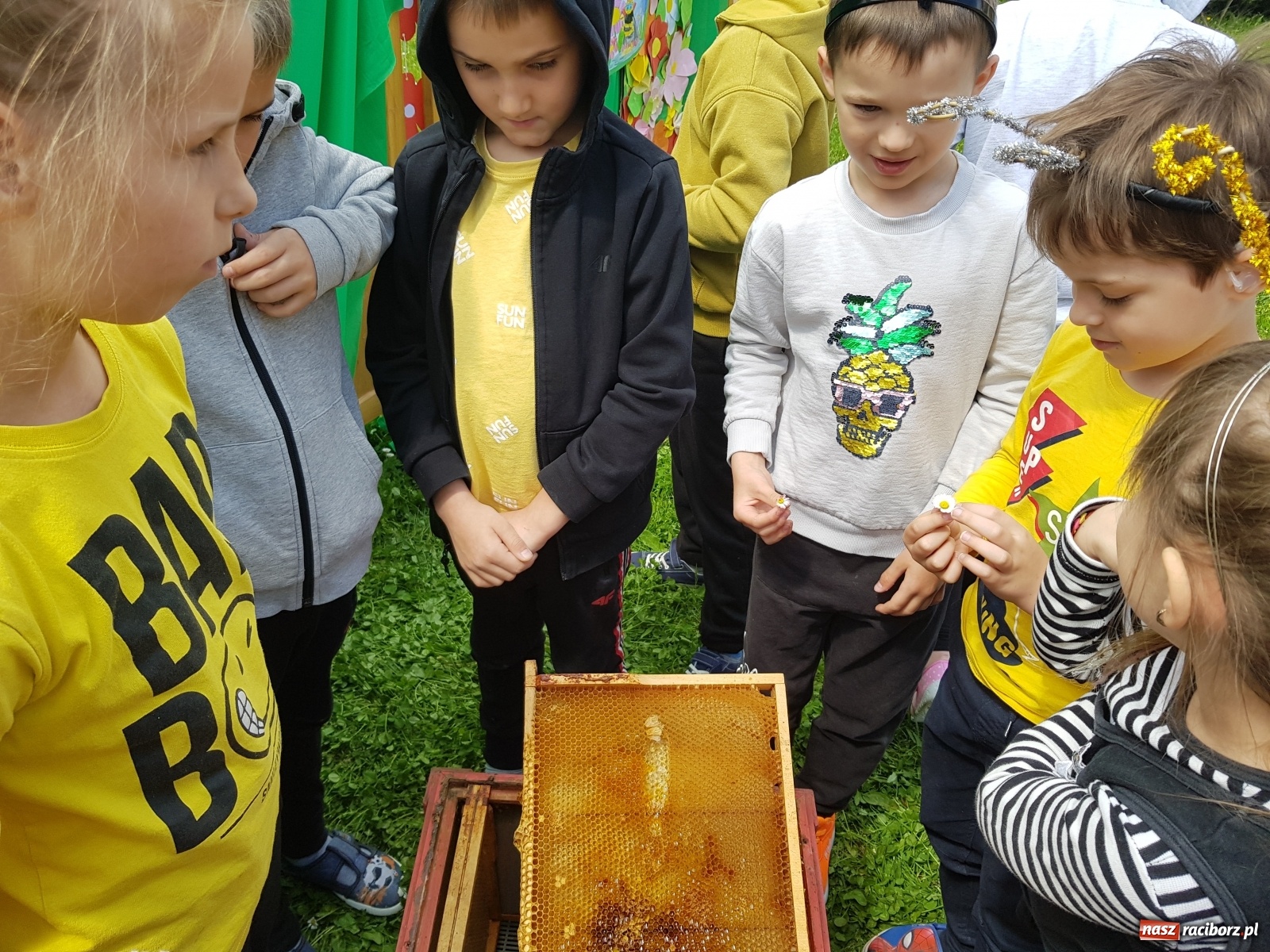 Zdjęcie w galerii na portalu naszraciborz.pl: Międzynarodowy Dzień Pszczół w tygodniu Laudato si wiadomości z regionu