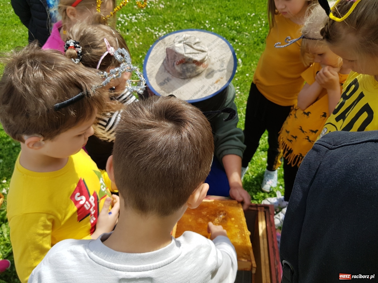 Zdjęcie w galerii na portalu naszraciborz.pl: Międzynarodowy Dzień Pszczół w tygodniu Laudato si wiadomości z regionu