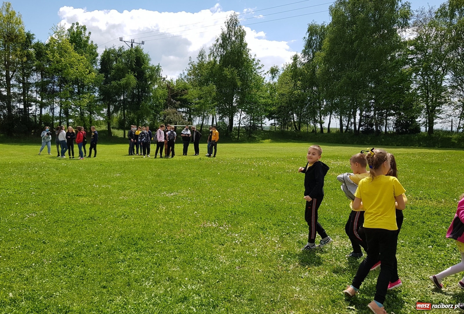 Zdjęcie w galerii na portalu naszraciborz.pl: Międzynarodowy Dzień Pszczół w tygodniu Laudato si wiadomości z regionu