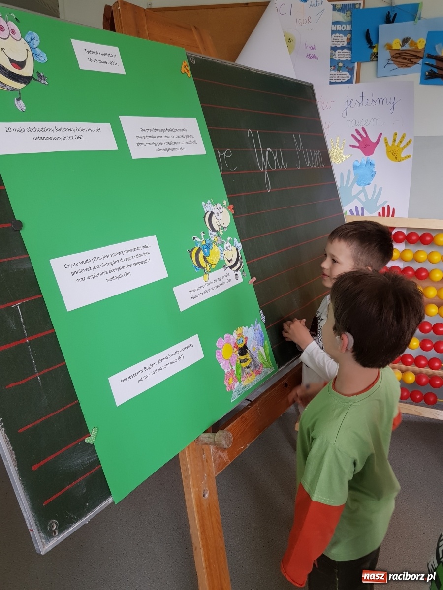 Zdjęcie w galerii na portalu naszraciborz.pl: Międzynarodowy Dzień Pszczół w tygodniu Laudato si wiadomości z regionu