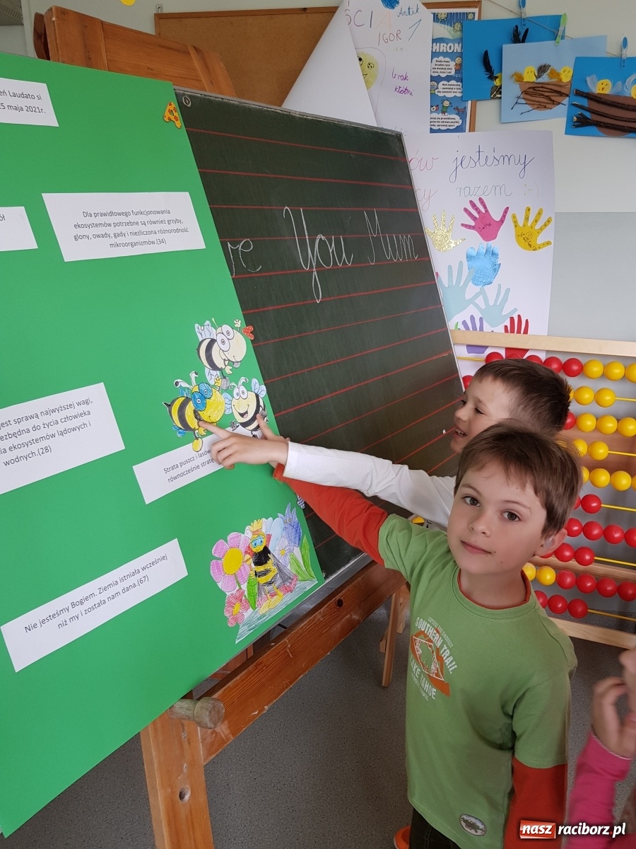 Zdjęcie w galerii na portalu naszraciborz.pl: Międzynarodowy Dzień Pszczół w tygodniu Laudato si wiadomości z regionu