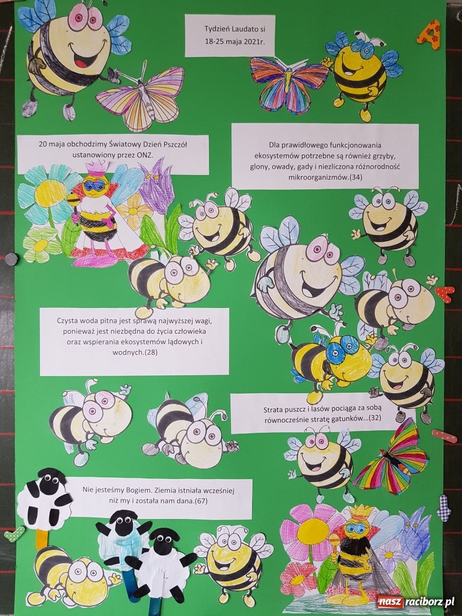 Zdjęcie w galerii na portalu naszraciborz.pl: Międzynarodowy Dzień Pszczół w tygodniu Laudato si wiadomości z regionu