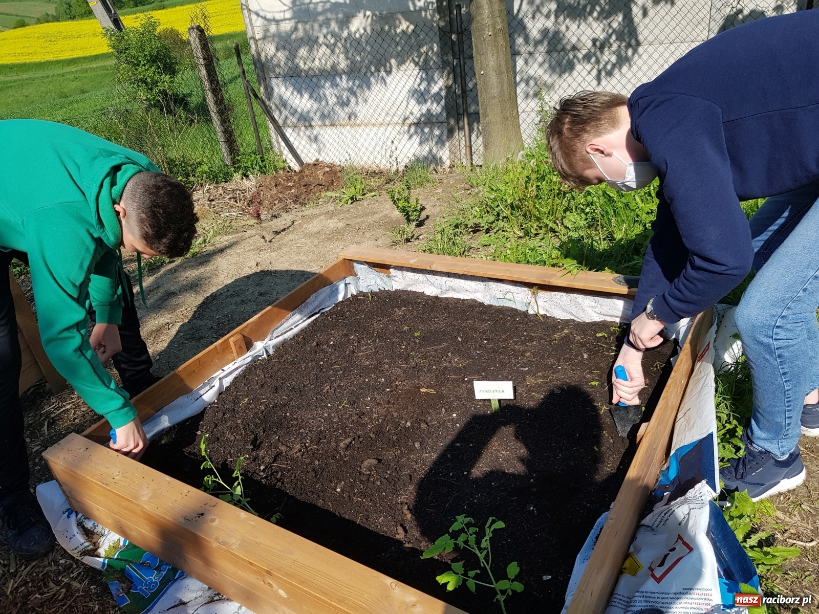 Zdjęcie w galerii na portalu naszraciborz.pl: Międzynarodowy Dzień Pszczół w tygodniu Laudato si wiadomości z regionu