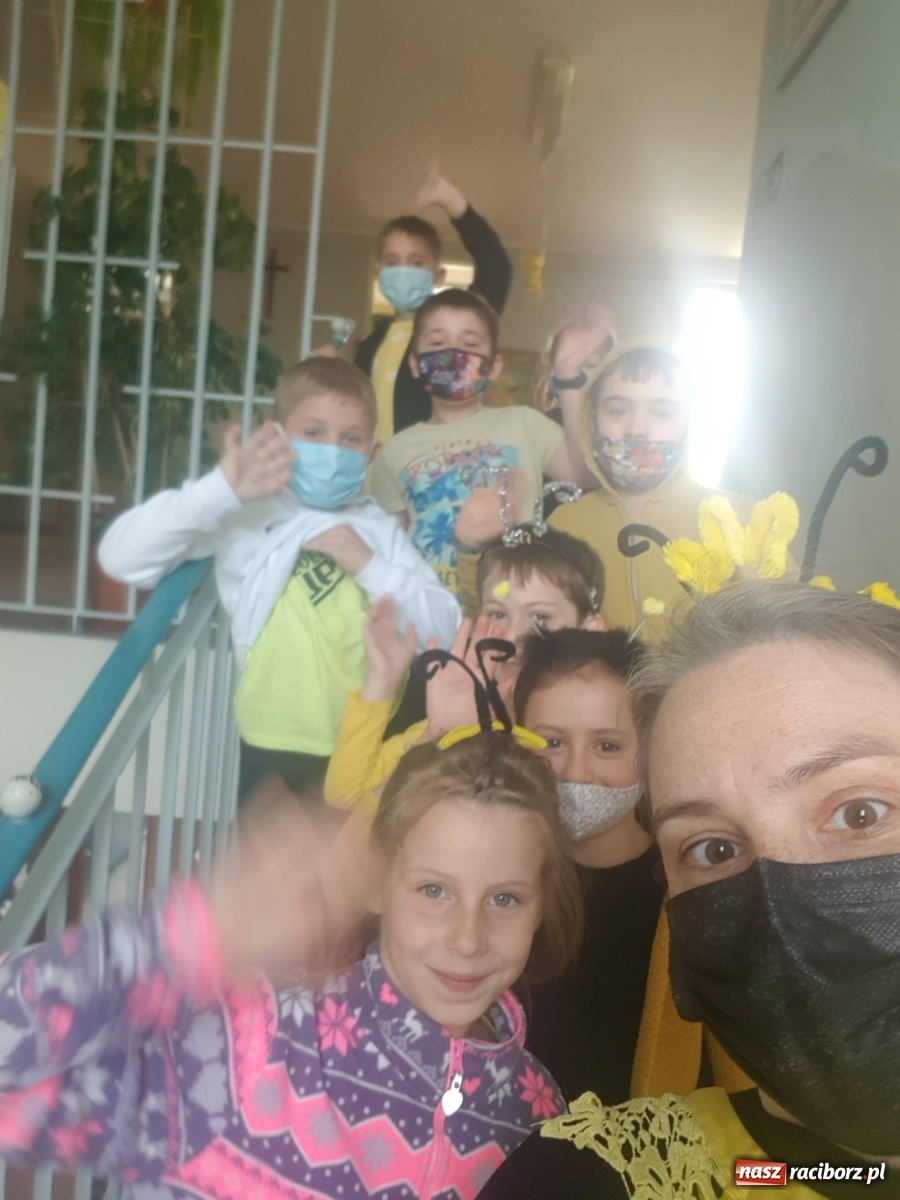 Zdjęcie w galerii na portalu naszraciborz.pl: Międzynarodowy Dzień Pszczół w tygodniu Laudato si wiadomości z regionu