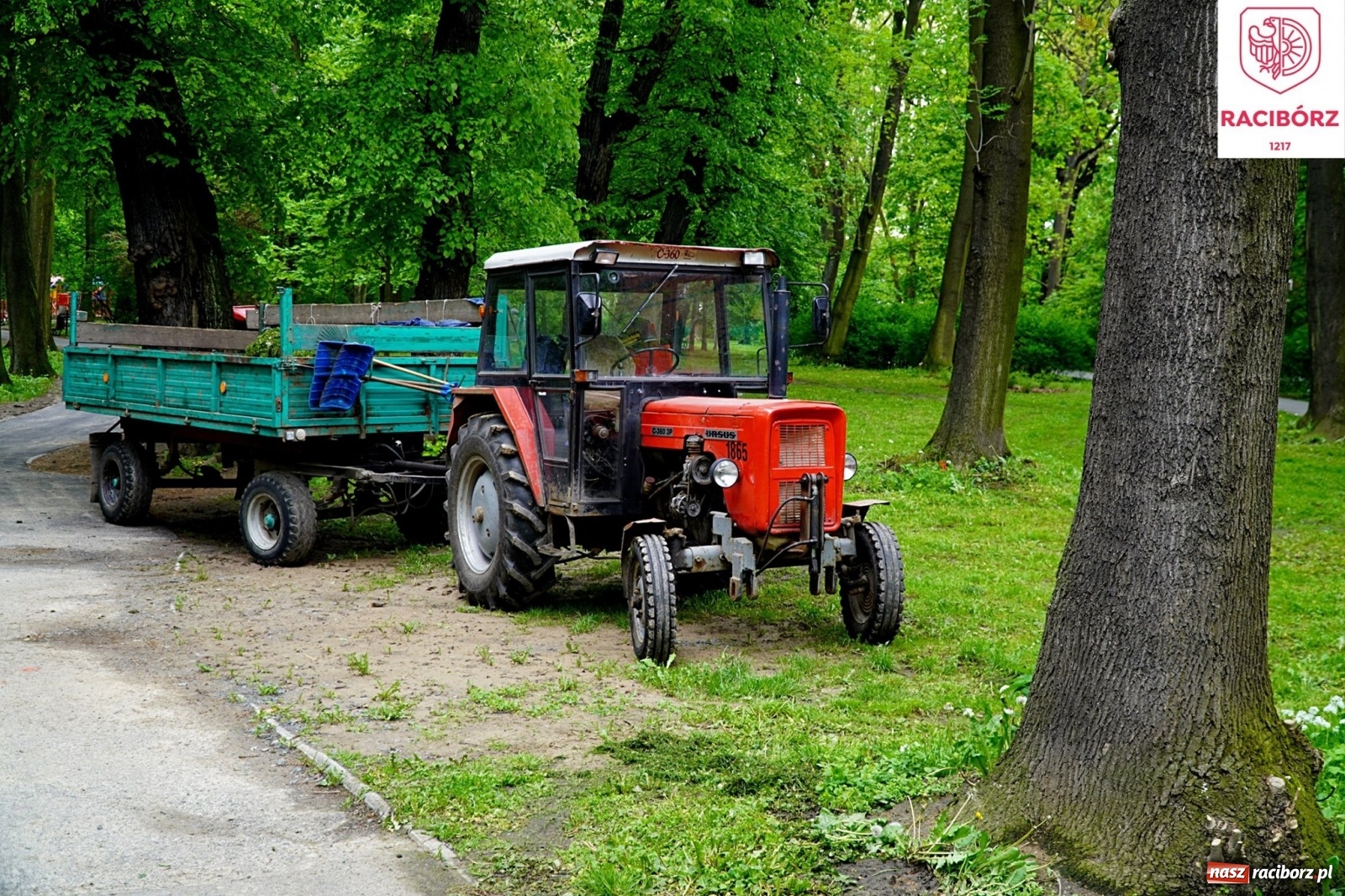 Zdjęcie w galerii na portalu naszraciborz.pl: Kosiarka do zadań specjalnych. Prezydent zadowolony ze stanu trawników wiadomości z regionu