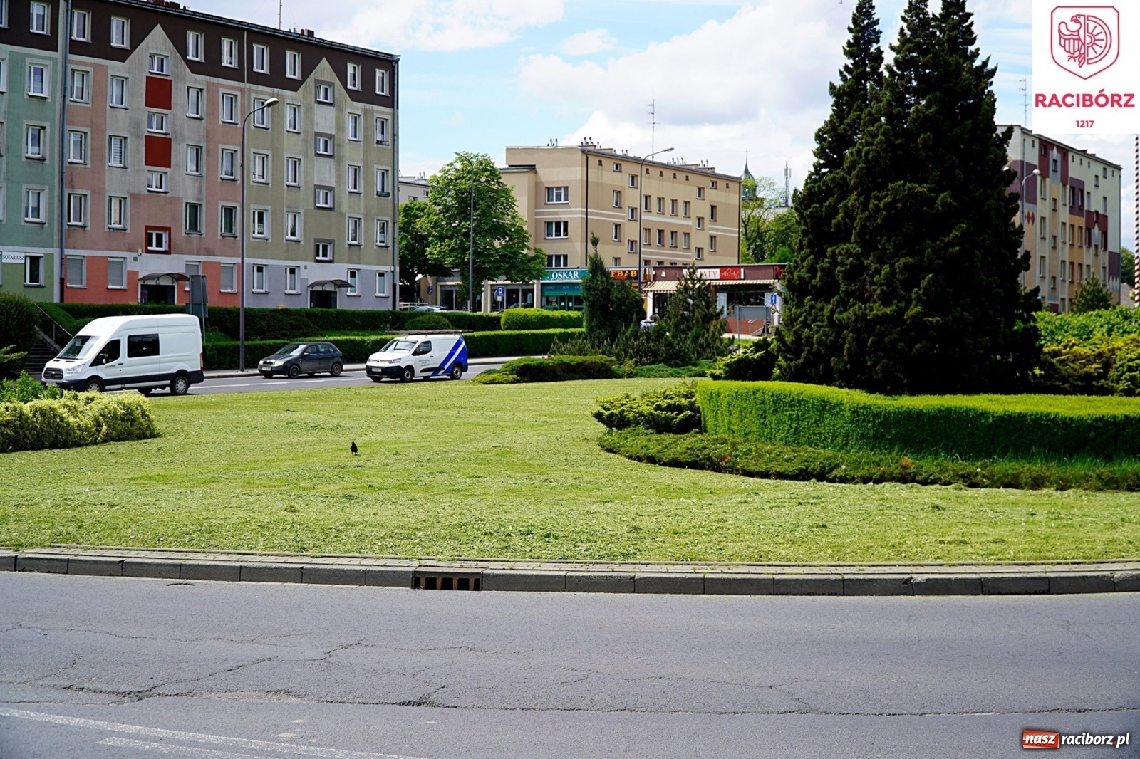 Zdjęcie w galerii na portalu naszraciborz.pl: Kosiarka do zadań specjalnych. Prezydent zadowolony ze stanu trawników wiadomości z regionu