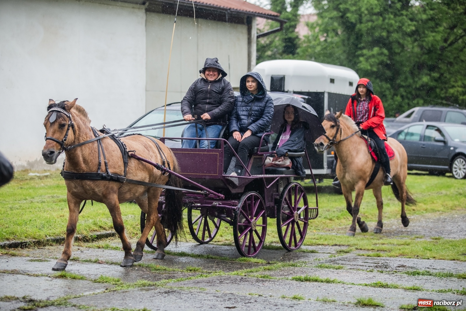 Zdjęcie w galerii na portalu naszraciborz.pl: III Procesja Konna na św. Urbana w Łubowicach. Jeźdźcy w strugach deszczu wiadomości z regionu