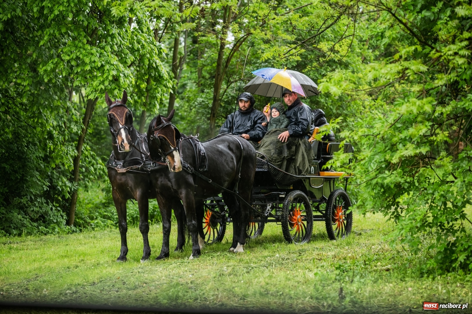 Zdjęcie w galerii na portalu naszraciborz.pl: III Procesja Konna na św. Urbana w Łubowicach. Jeźdźcy w strugach deszczu wiadomości z regionu
