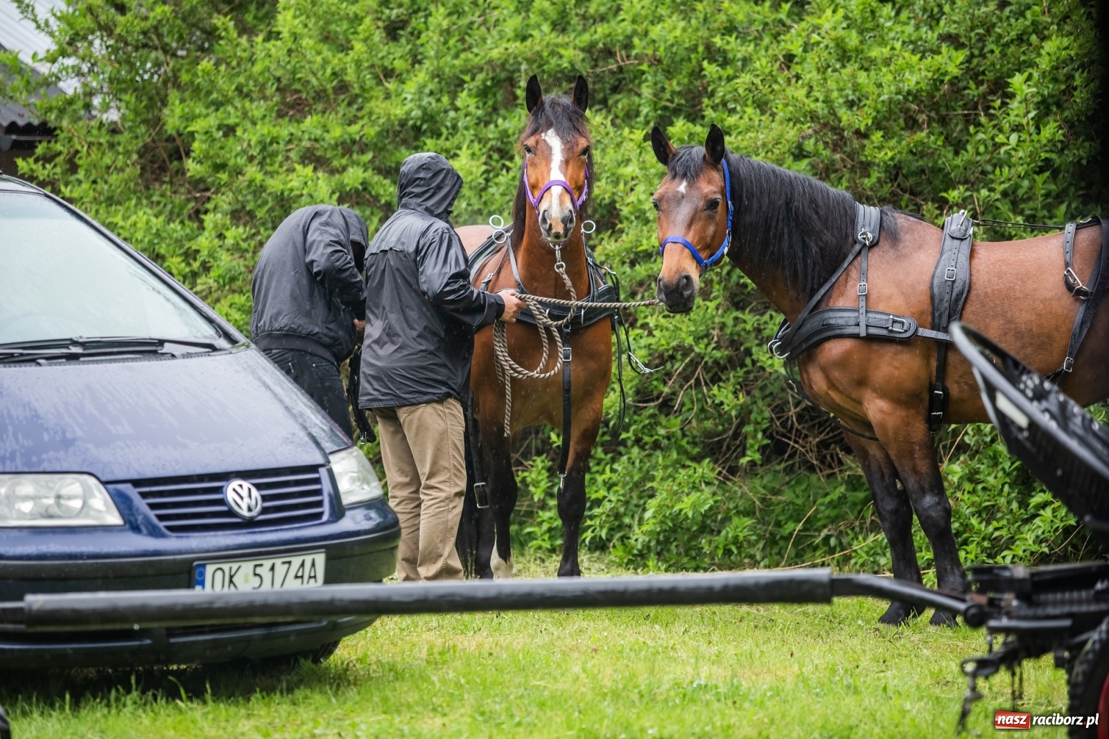 Zdjęcie w galerii na portalu naszraciborz.pl: III Procesja Konna na św. Urbana w Łubowicach. Jeźdźcy w strugach deszczu wiadomości z regionu