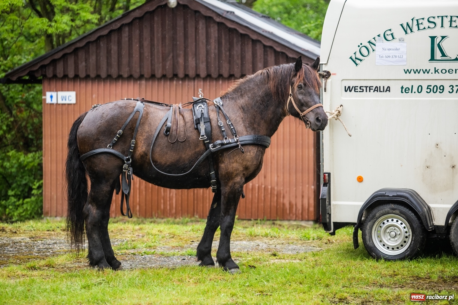 Zdjęcie w galerii na portalu naszraciborz.pl: III Procesja Konna na św. Urbana w Łubowicach. Jeźdźcy w strugach deszczu wiadomości z regionu
