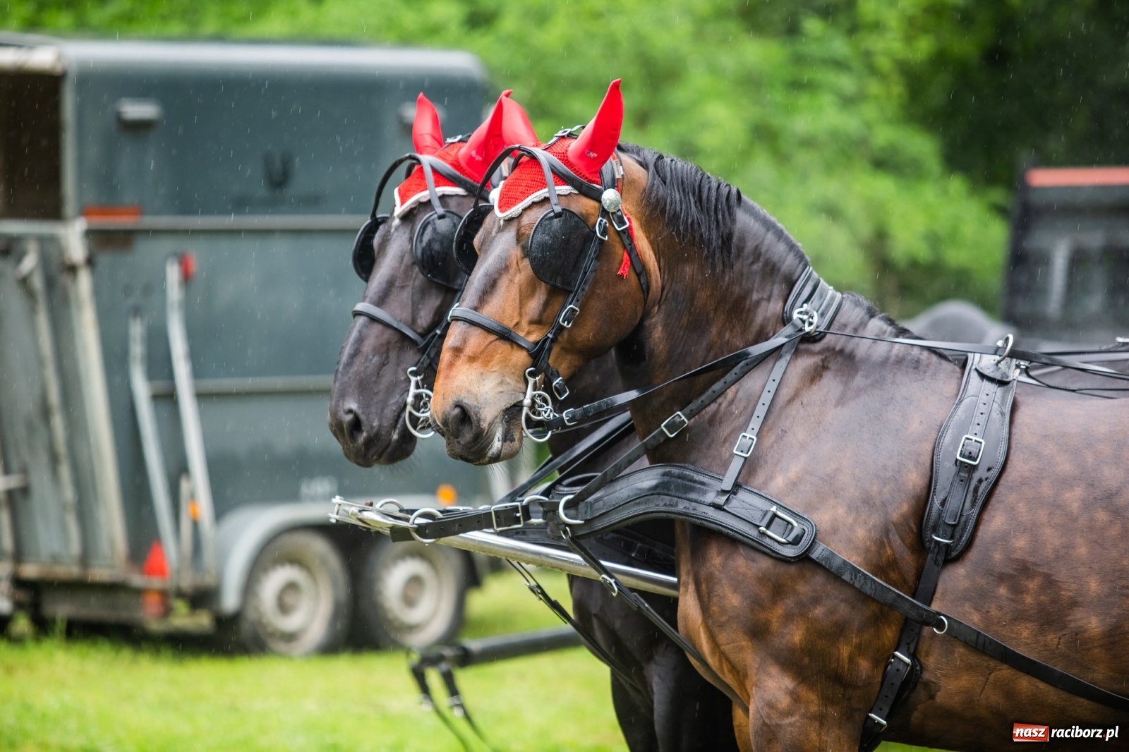 Zdjęcie w galerii na portalu naszraciborz.pl: III Procesja Konna na św. Urbana w Łubowicach. Jeźdźcy w strugach deszczu wiadomości z regionu