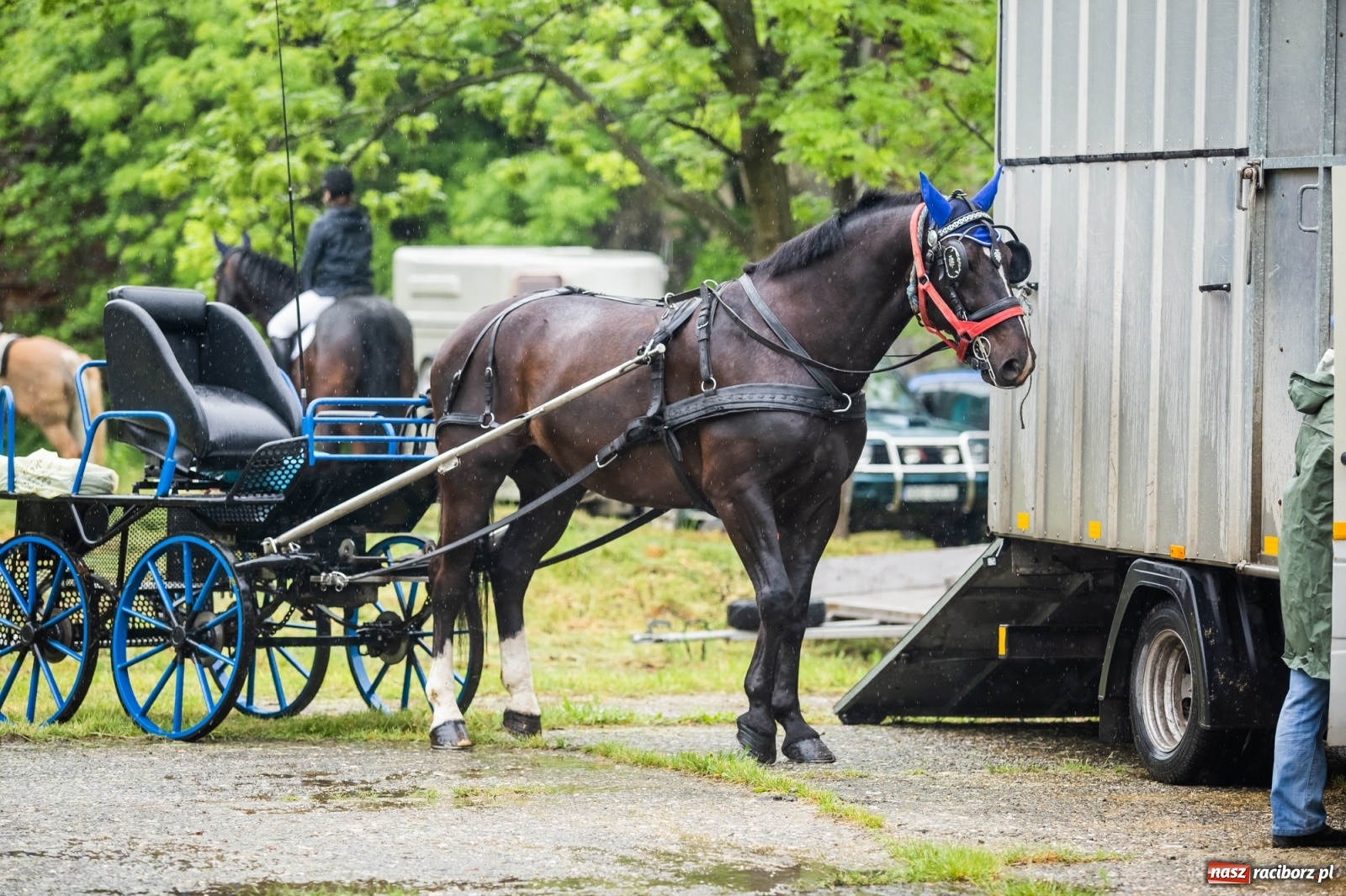 Zdjęcie w galerii na portalu naszraciborz.pl: III Procesja Konna na św. Urbana w Łubowicach. Jeźdźcy w strugach deszczu wiadomości z regionu