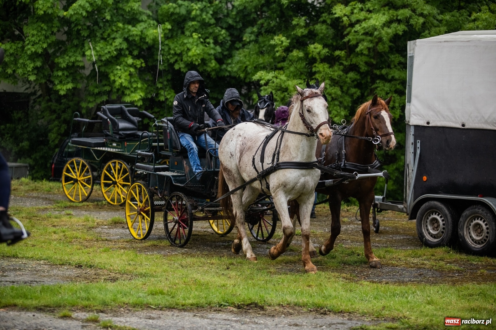 Zdjęcie w galerii na portalu naszraciborz.pl: III Procesja Konna na św. Urbana w Łubowicach. Jeźdźcy w strugach deszczu wiadomości z regionu