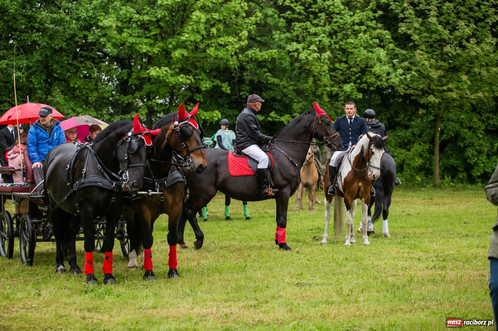 Zdjęcie w galerii na portalu naszraciborz.pl: III Procesja Konna na św. Urbana w Łubowicach. Jeźdźcy w strugach deszczu wiadomości z regionu