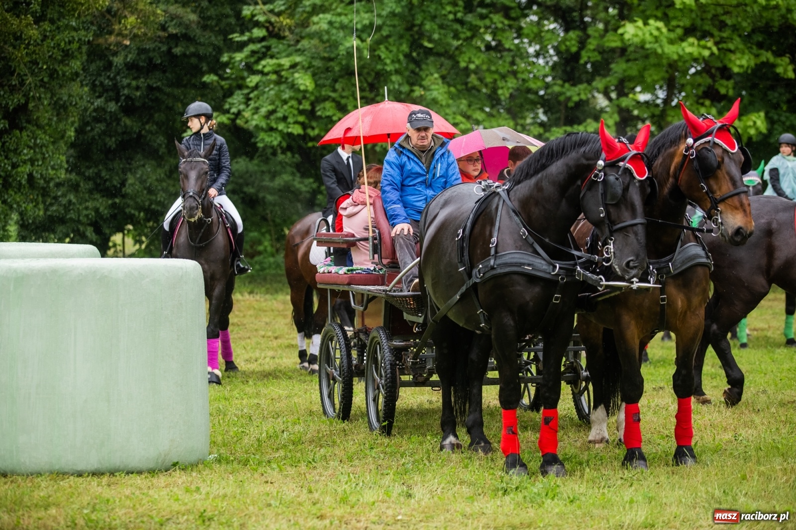 Zdjęcie w galerii na portalu naszraciborz.pl: III Procesja Konna na św. Urbana w Łubowicach. Jeźdźcy w strugach deszczu wiadomości z regionu
