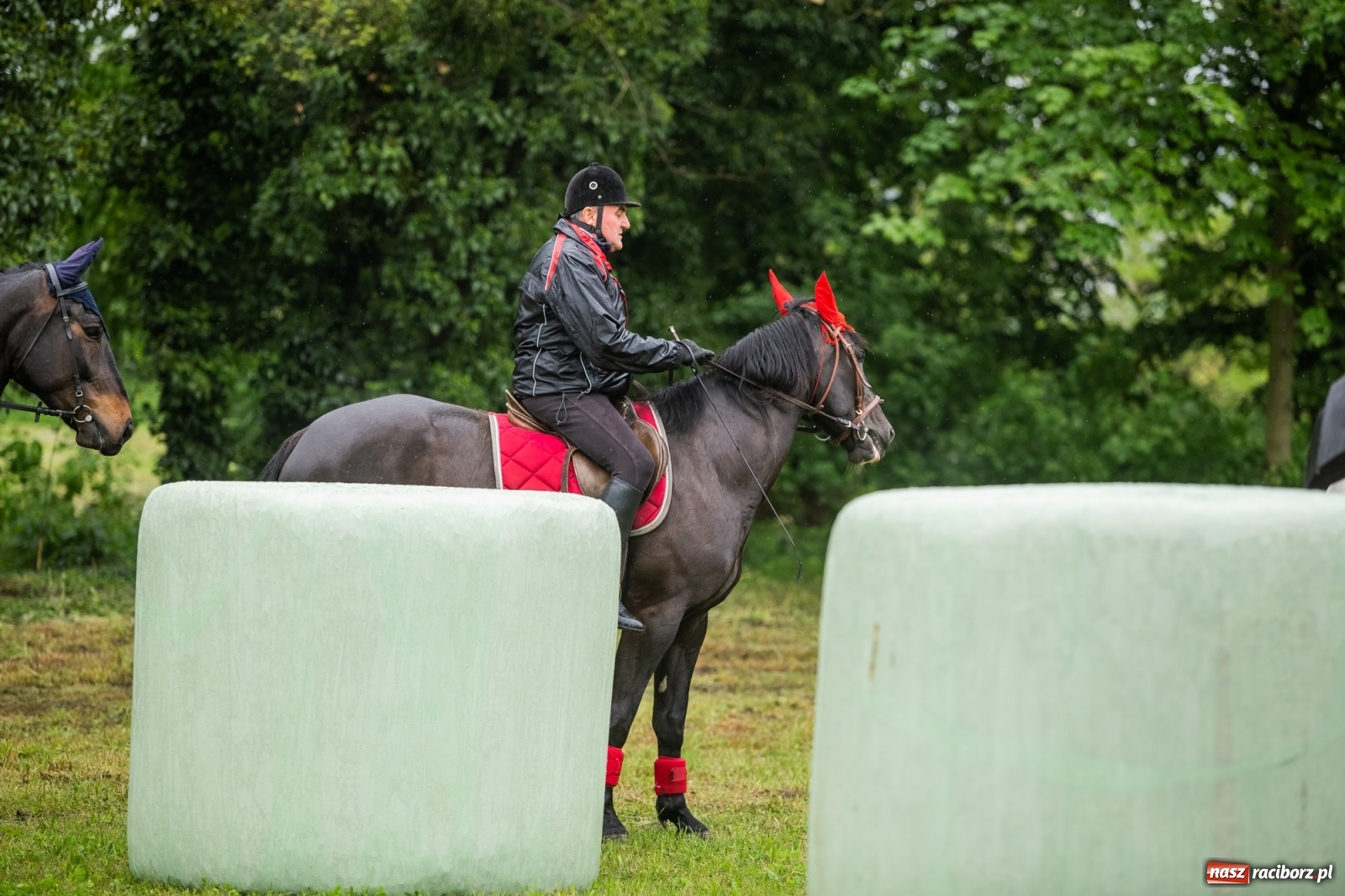 Zdjęcie w galerii na portalu naszraciborz.pl: III Procesja Konna na św. Urbana w Łubowicach. Jeźdźcy w strugach deszczu wiadomości z regionu