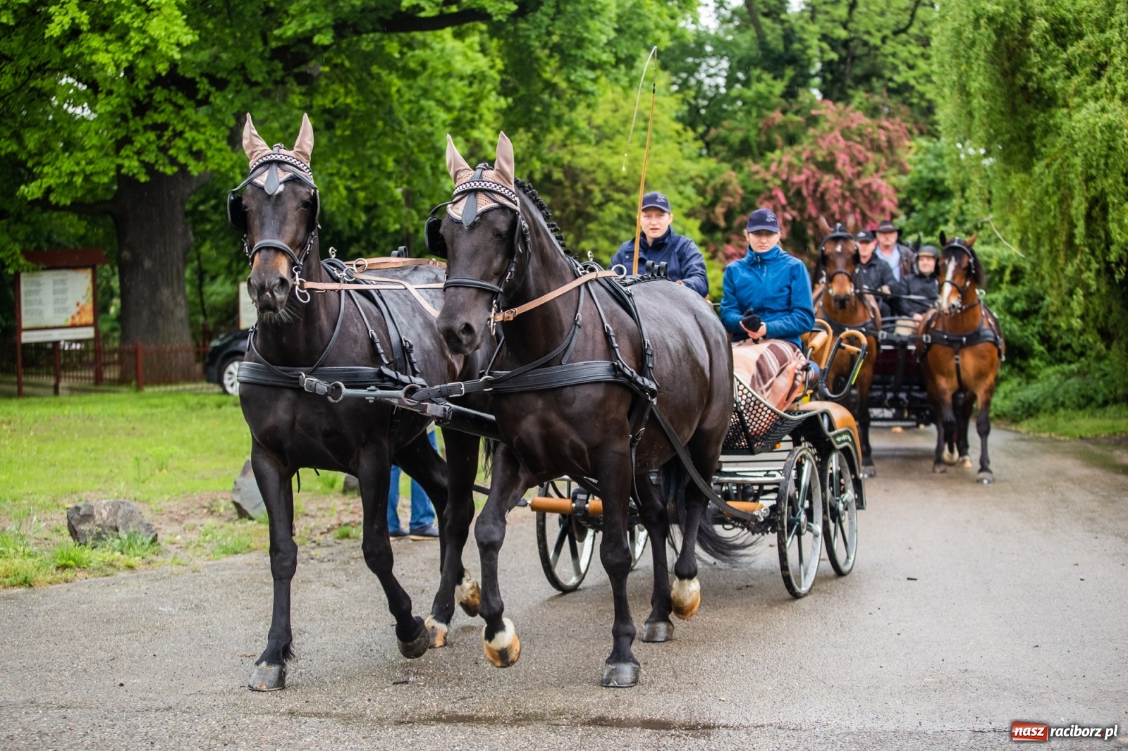Zdjęcie w galerii na portalu naszraciborz.pl: III Procesja Konna na św. Urbana w Łubowicach. Jeźdźcy w strugach deszczu wiadomości z regionu