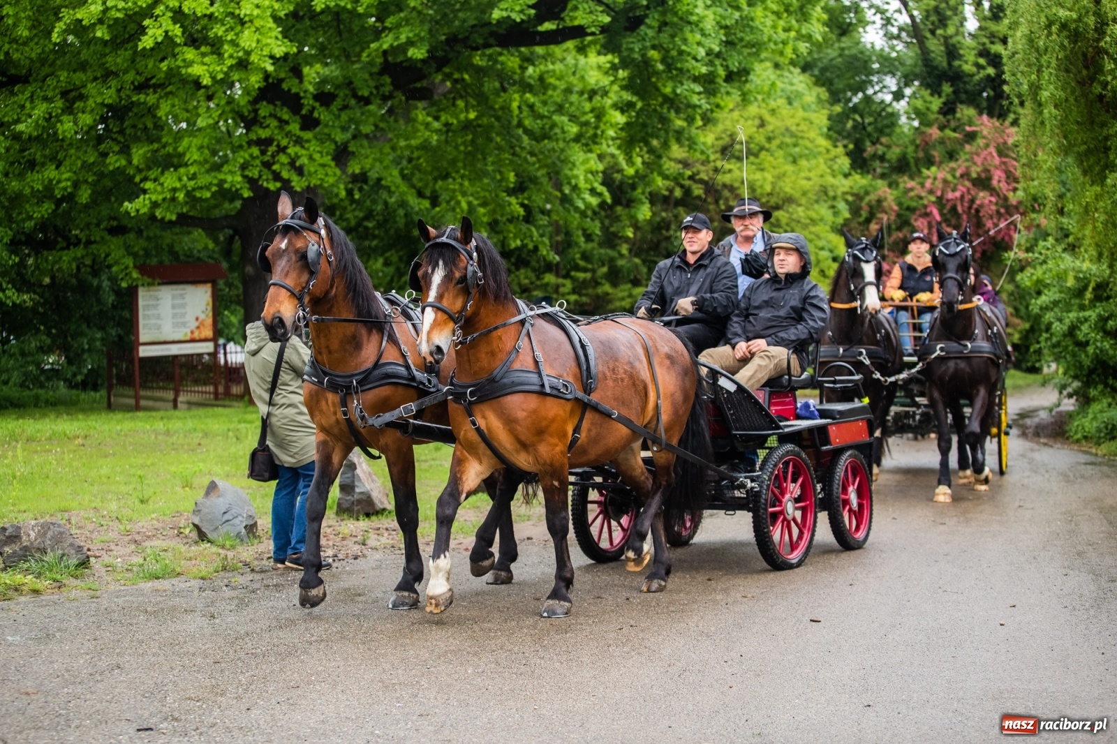Zdjęcie w galerii na portalu naszraciborz.pl: III Procesja Konna na św. Urbana w Łubowicach. Jeźdźcy w strugach deszczu wiadomości z regionu