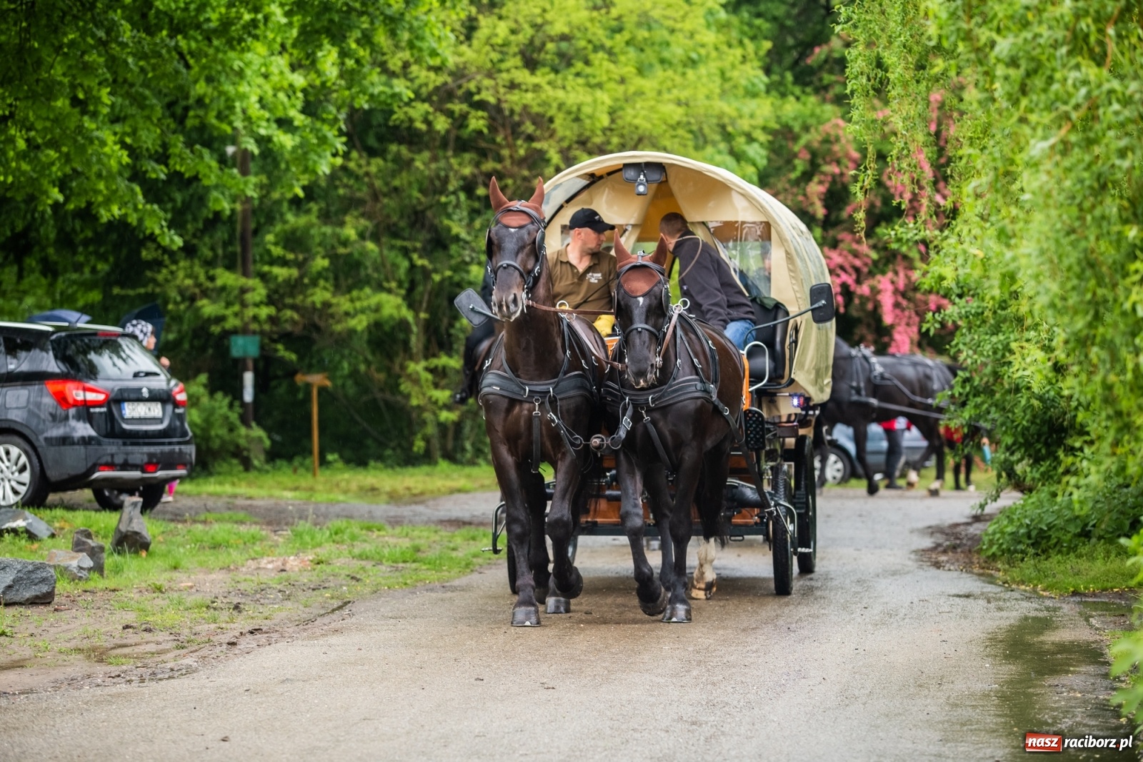 Zdjęcie w galerii na portalu naszraciborz.pl: III Procesja Konna na św. Urbana w Łubowicach. Jeźdźcy w strugach deszczu wiadomości z regionu