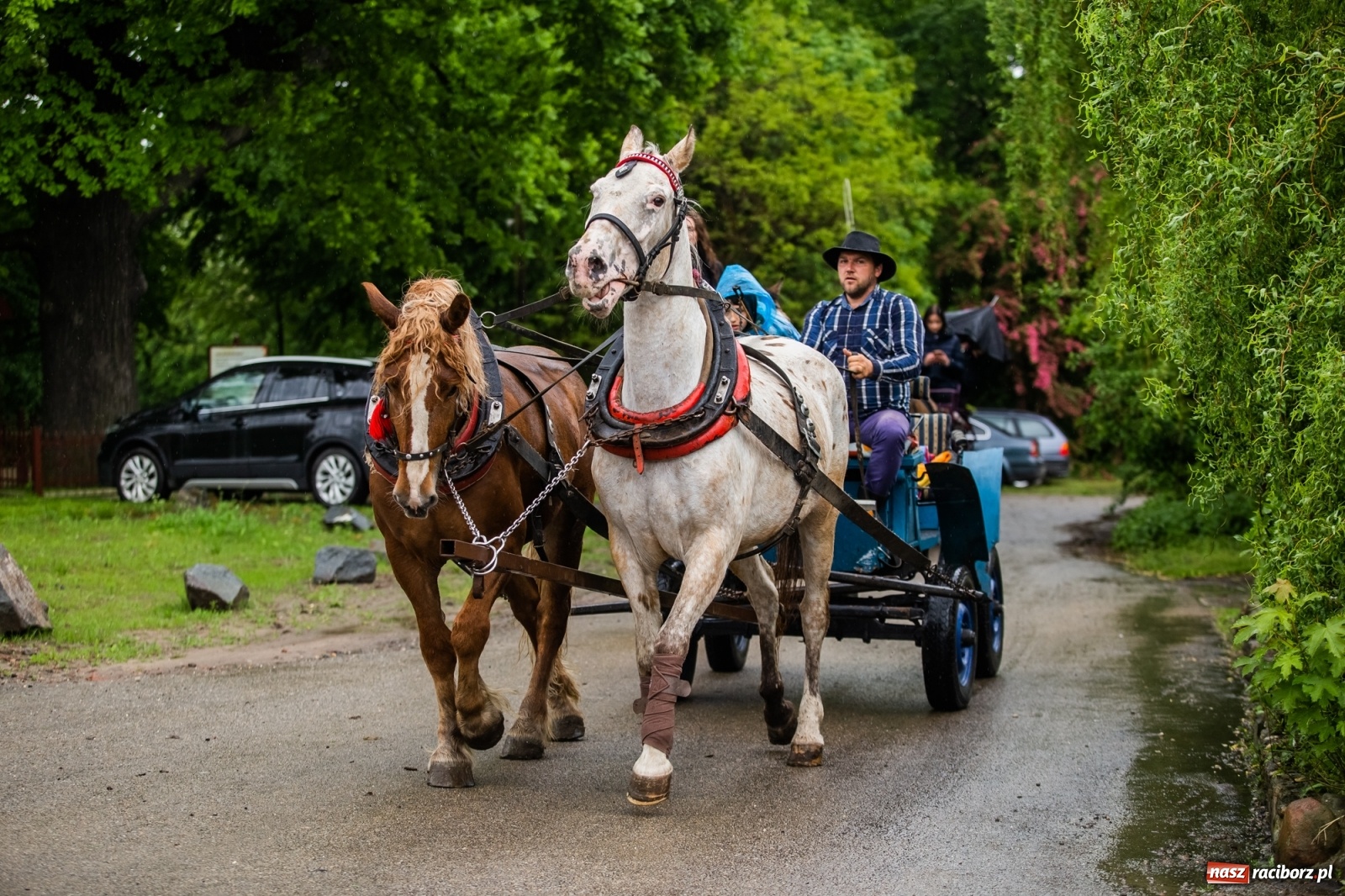 Zdjęcie w galerii na portalu naszraciborz.pl: III Procesja Konna na św. Urbana w Łubowicach. Jeźdźcy w strugach deszczu wiadomości z regionu