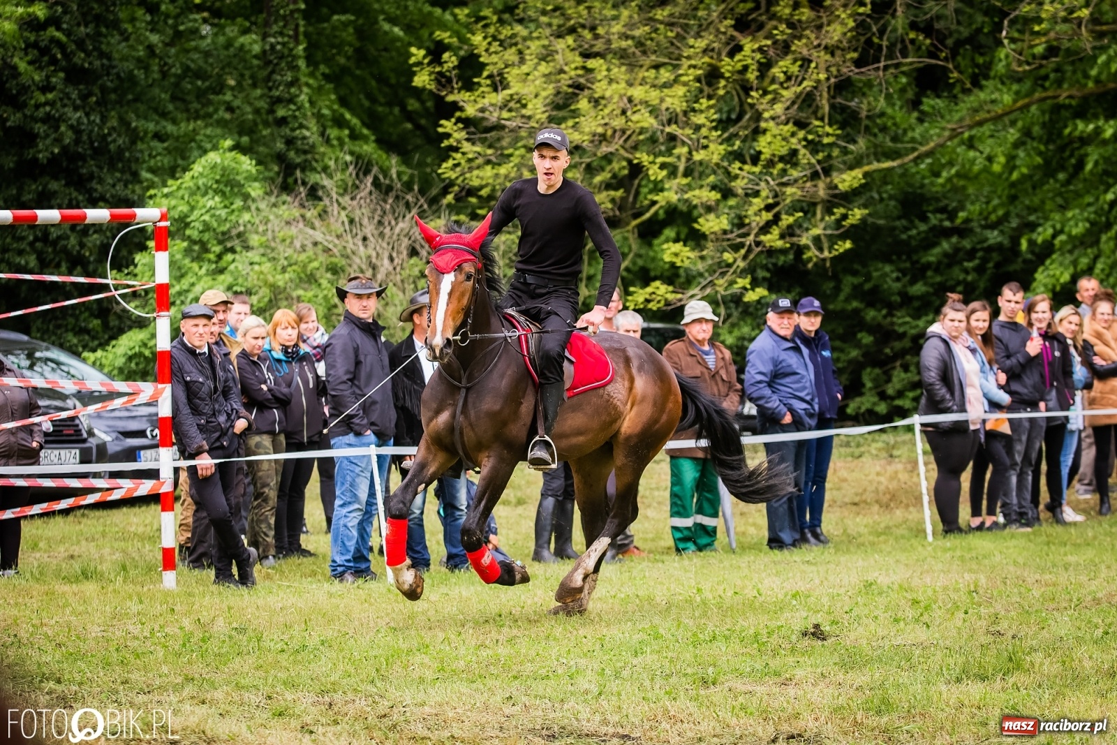 Zdjęcie w galerii na portalu naszraciborz.pl: Konna rywalizacja w Łubowicach [FOTO] wiadomości z regionu
