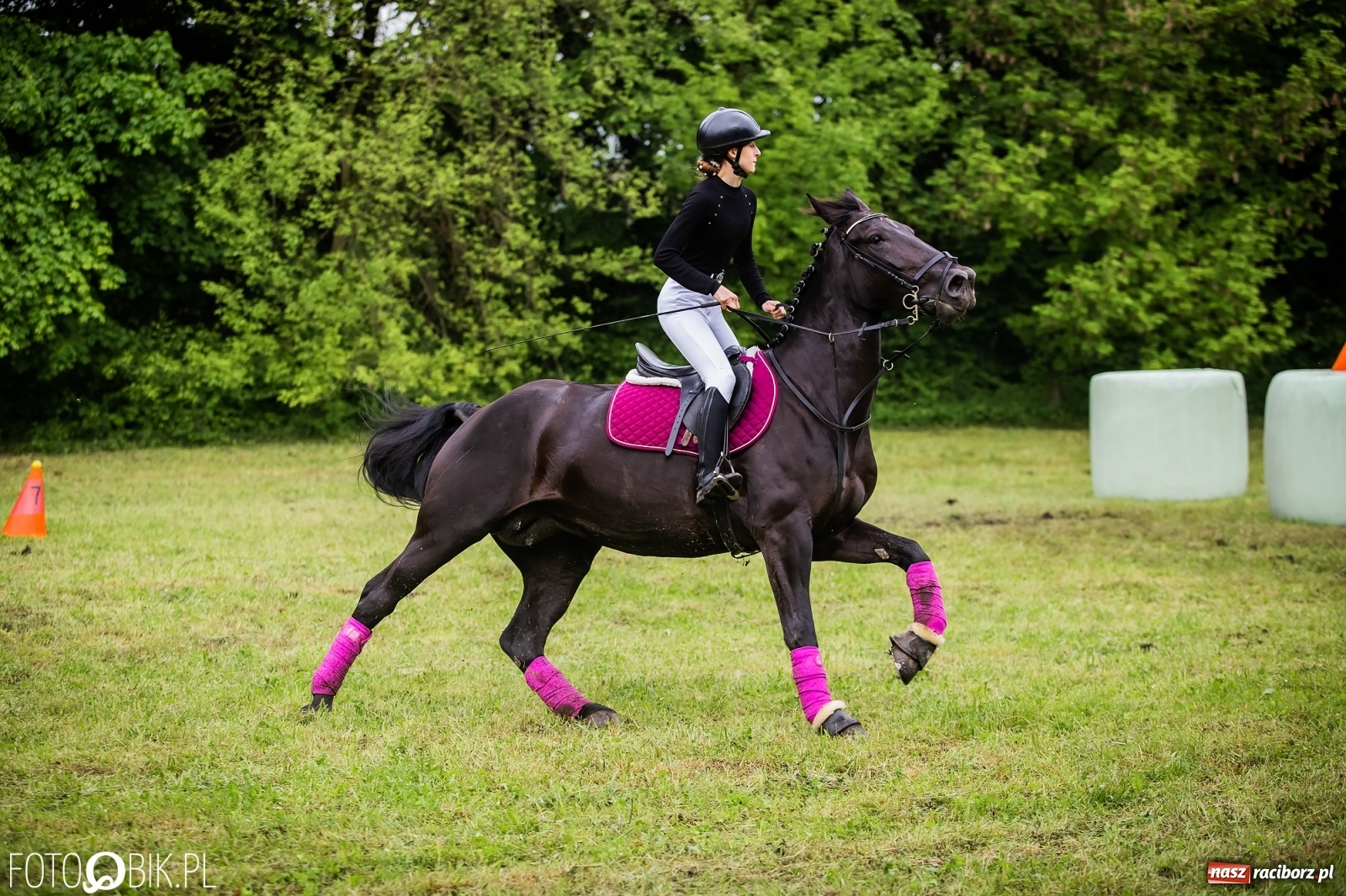 Zdjęcie w galerii na portalu naszraciborz.pl: Konna rywalizacja w Łubowicach [FOTO] wiadomości z regionu