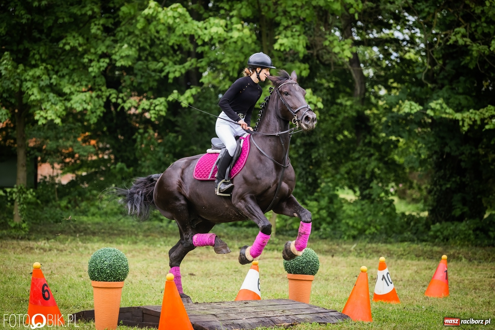 Zdjęcie w galerii na portalu naszraciborz.pl: Konna rywalizacja w Łubowicach [FOTO] wiadomości z regionu