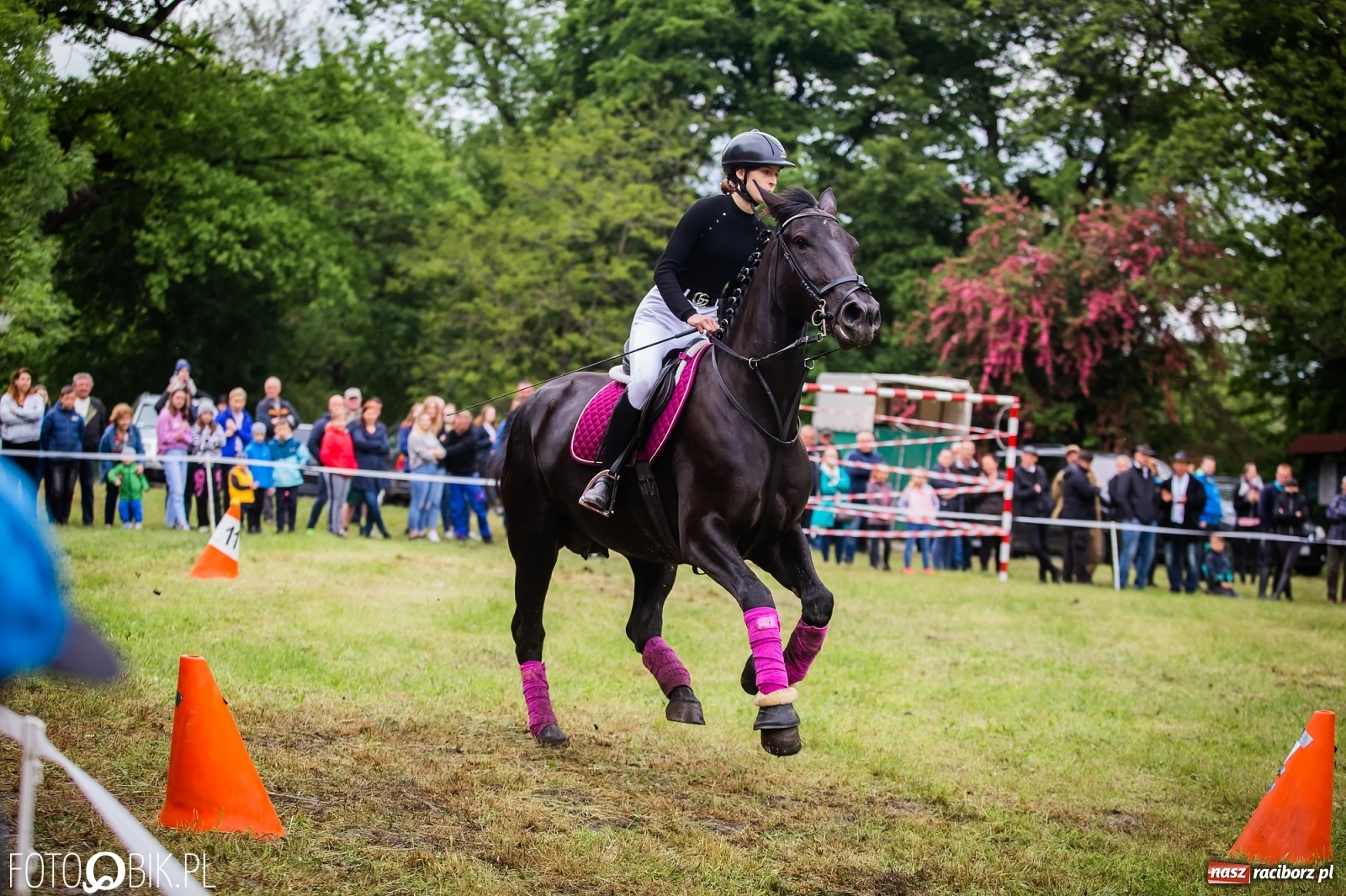 Zdjęcie w galerii na portalu naszraciborz.pl: Konna rywalizacja w Łubowicach [FOTO] wiadomości z regionu