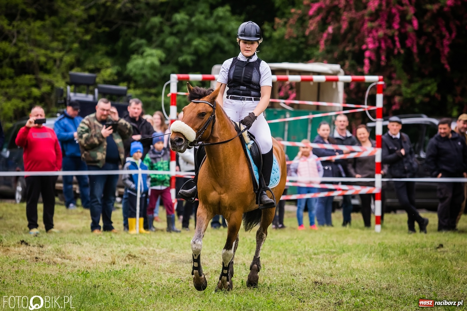 Zdjęcie w galerii na portalu naszraciborz.pl: Konna rywalizacja w Łubowicach [FOTO] wiadomości z regionu