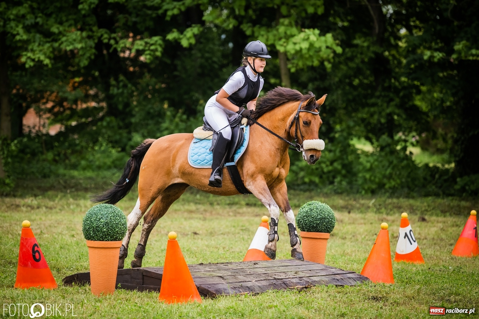 Zdjęcie w galerii na portalu naszraciborz.pl: Konna rywalizacja w Łubowicach [FOTO] wiadomości z regionu