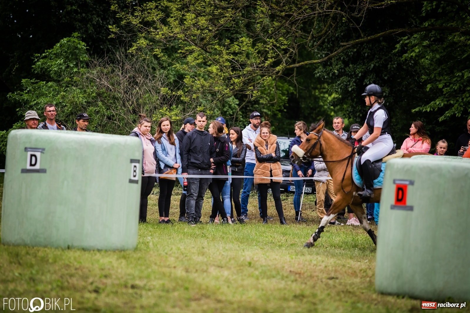 Zdjęcie w galerii na portalu naszraciborz.pl: Konna rywalizacja w Łubowicach [FOTO] wiadomości z regionu