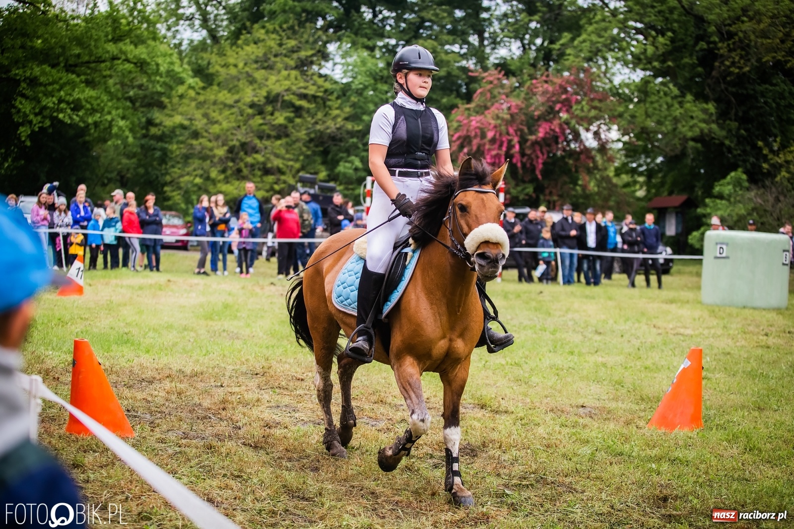 Zdjęcie w galerii na portalu naszraciborz.pl: Konna rywalizacja w Łubowicach [FOTO] wiadomości z regionu