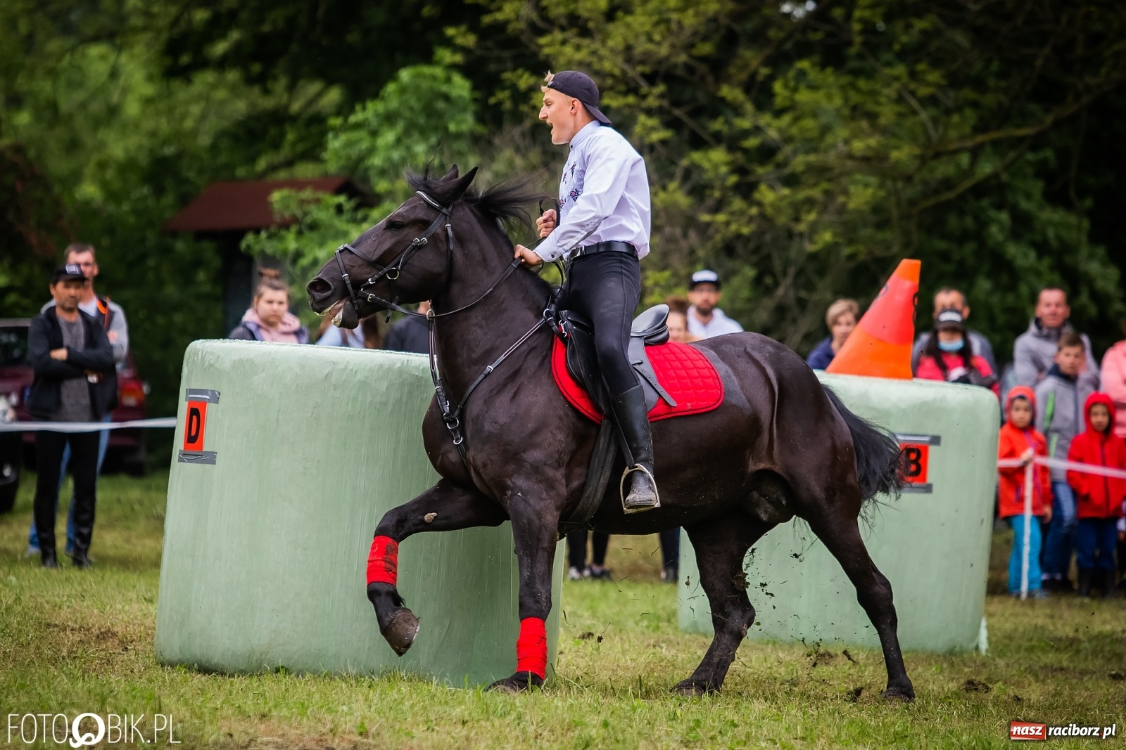 Zdjęcie w galerii na portalu naszraciborz.pl: Konna rywalizacja w Łubowicach [FOTO] wiadomości z regionu