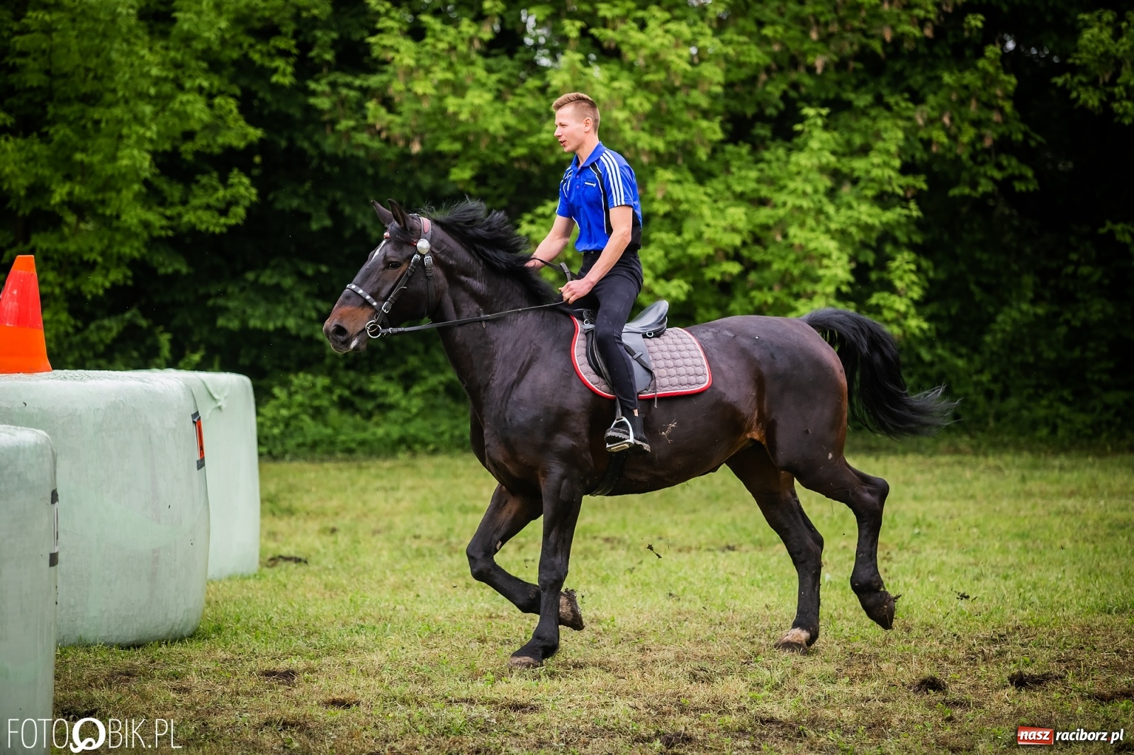 Zdjęcie w galerii na portalu naszraciborz.pl: Konna rywalizacja w Łubowicach [FOTO] wiadomości z regionu