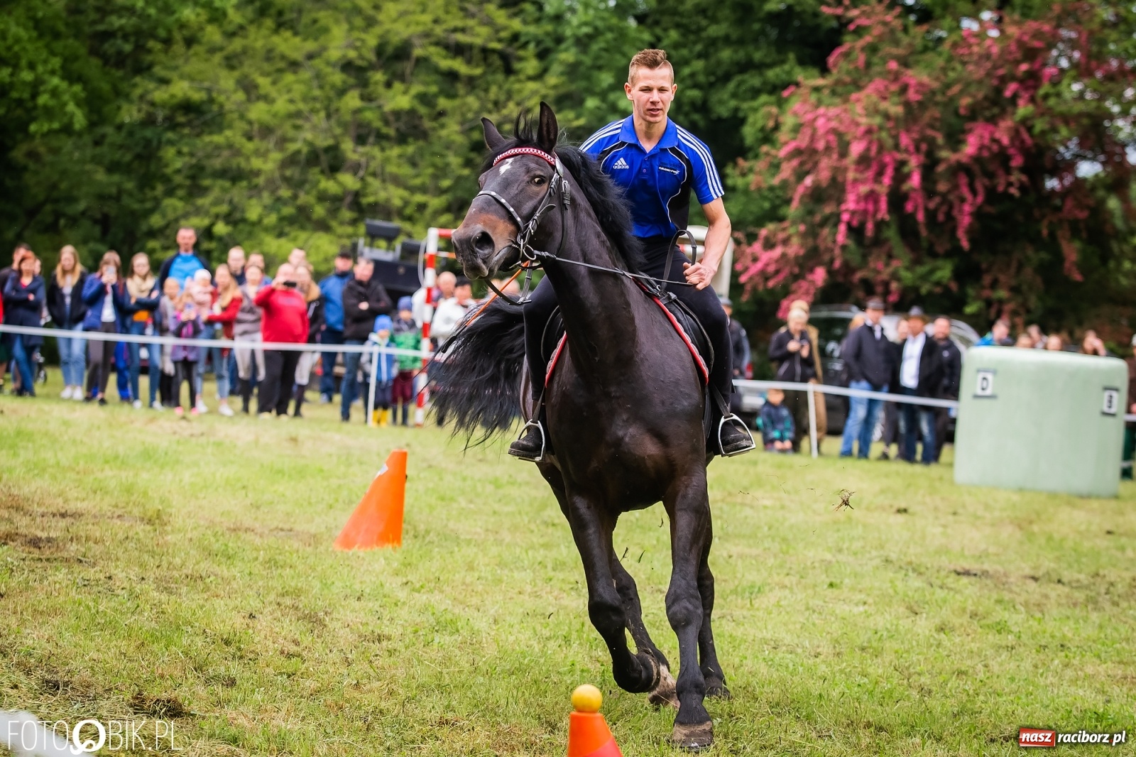 Zdjęcie w galerii na portalu naszraciborz.pl: Konna rywalizacja w Łubowicach [FOTO] wiadomości z regionu