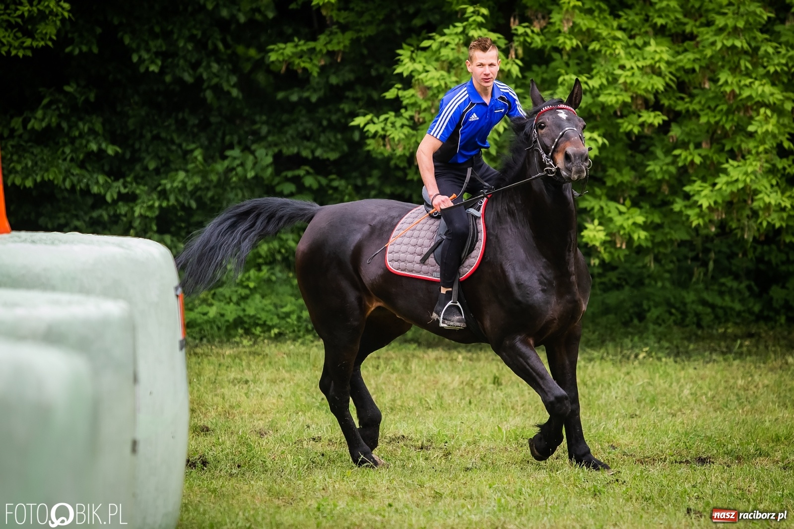Zdjęcie w galerii na portalu naszraciborz.pl: Konna rywalizacja w Łubowicach [FOTO] wiadomości z regionu