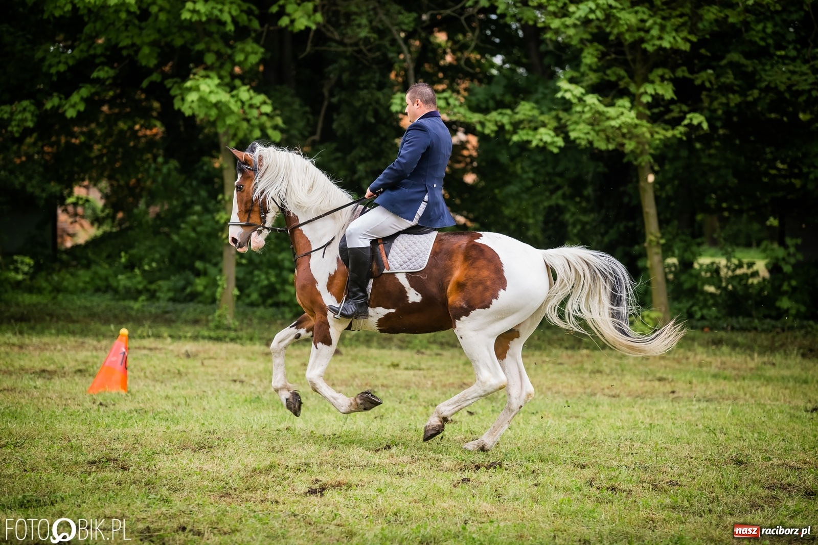 Zdjęcie w galerii na portalu naszraciborz.pl: Konna rywalizacja w Łubowicach [FOTO] wiadomości z regionu