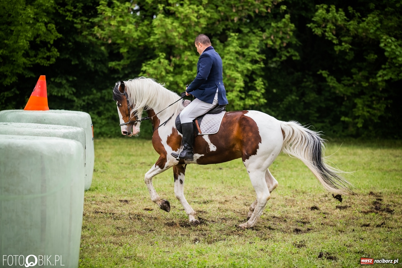 Zdjęcie w galerii na portalu naszraciborz.pl: Konna rywalizacja w Łubowicach [FOTO] wiadomości z regionu