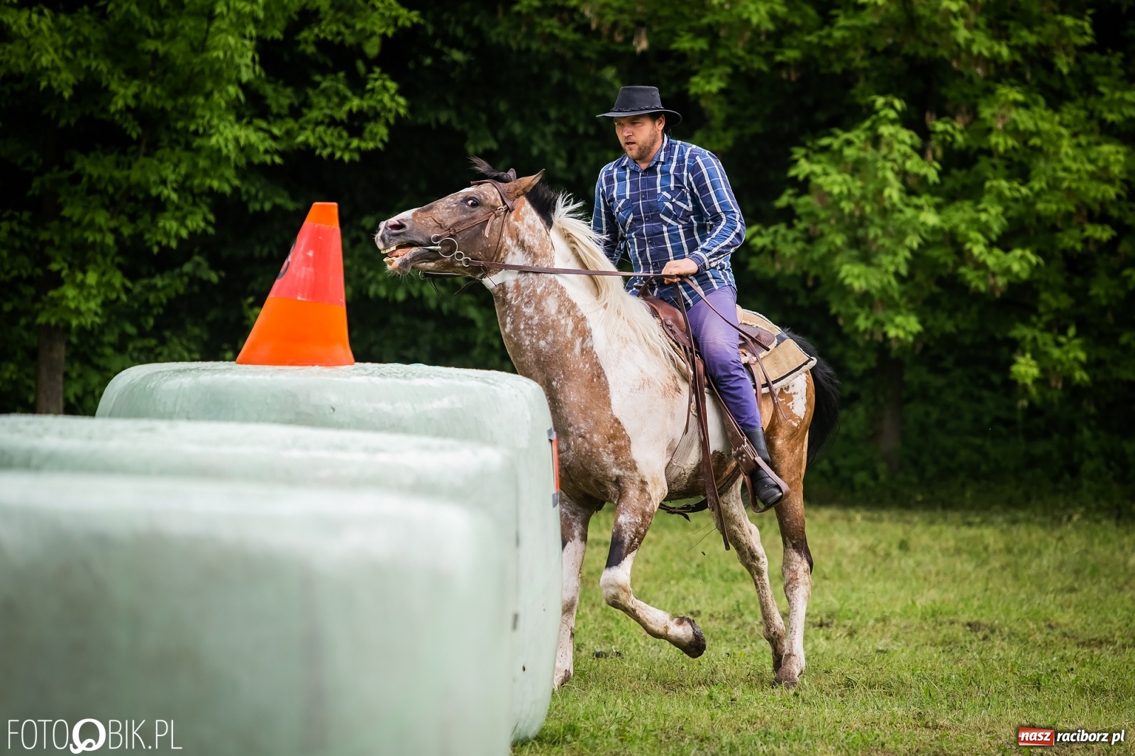 Zdjęcie w galerii na portalu naszraciborz.pl: Konna rywalizacja w Łubowicach [FOTO] wiadomości z regionu
