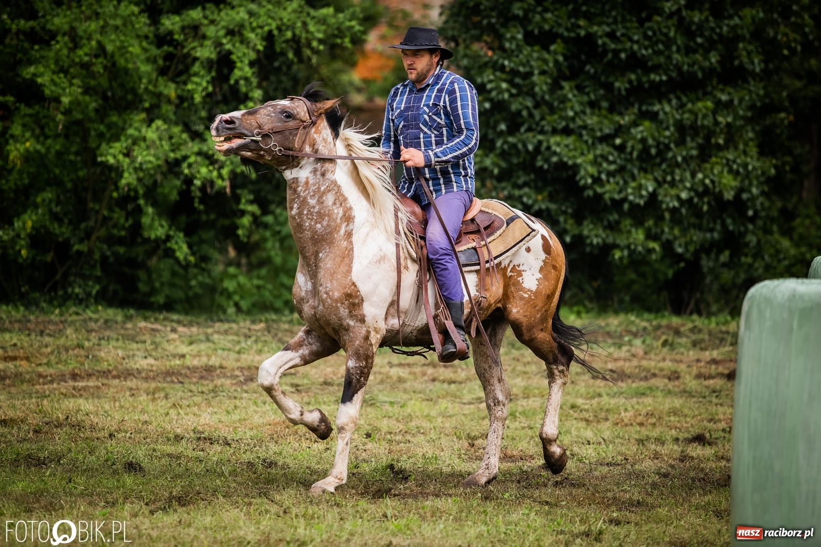 Zdjęcie w galerii na portalu naszraciborz.pl: Konna rywalizacja w Łubowicach [FOTO] wiadomości z regionu