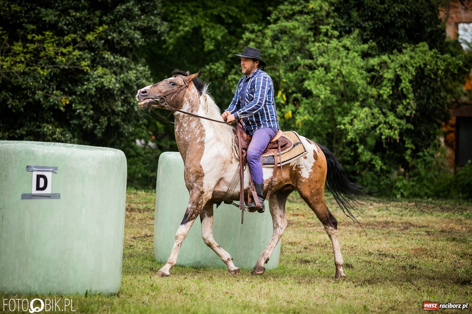 Zdjęcie w galerii na portalu naszraciborz.pl: Konna rywalizacja w Łubowicach [FOTO] wiadomości z regionu