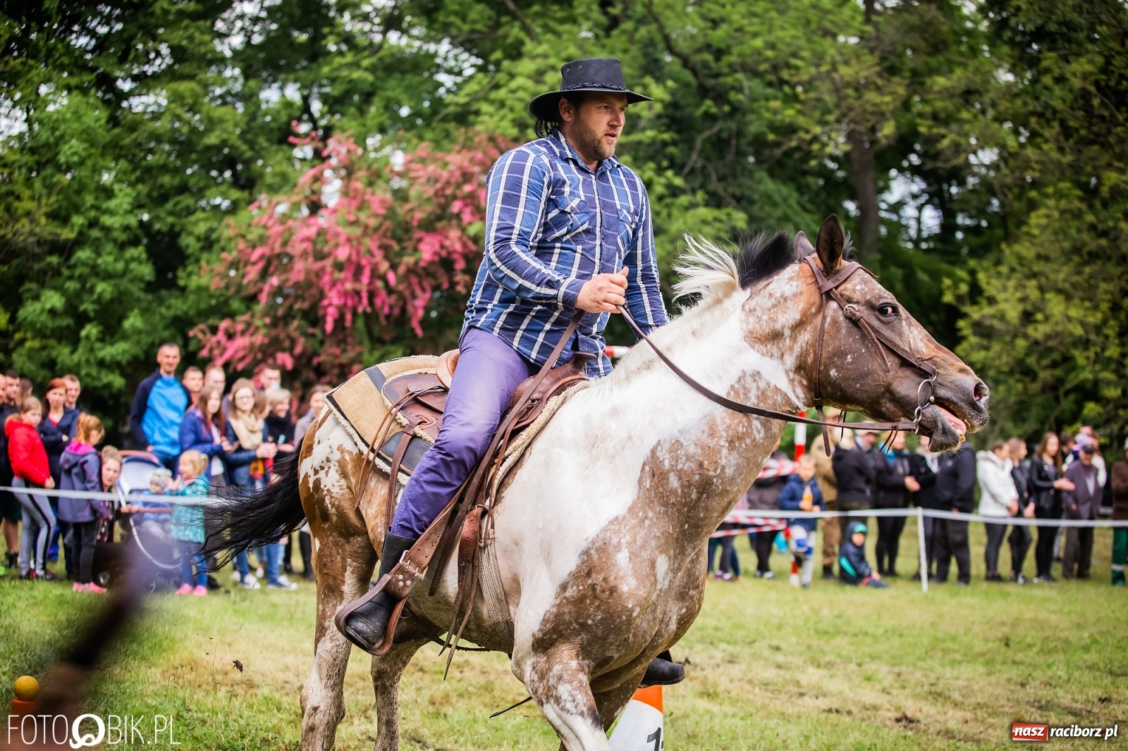 Zdjęcie w galerii na portalu naszraciborz.pl: Konna rywalizacja w Łubowicach [FOTO] wiadomości z regionu