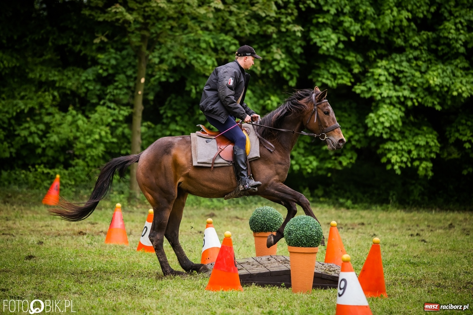 Zdjęcie w galerii na portalu naszraciborz.pl: Konna rywalizacja w Łubowicach [FOTO] wiadomości z regionu