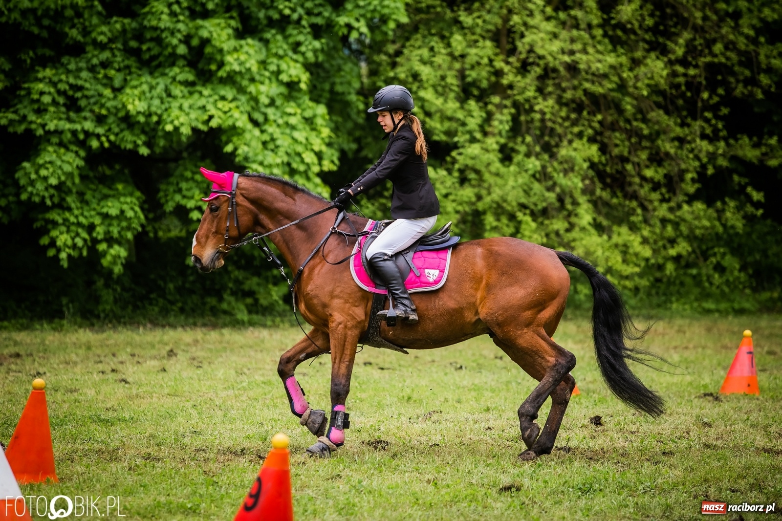 Zdjęcie w galerii na portalu naszraciborz.pl: Konna rywalizacja w Łubowicach [FOTO] wiadomości z regionu