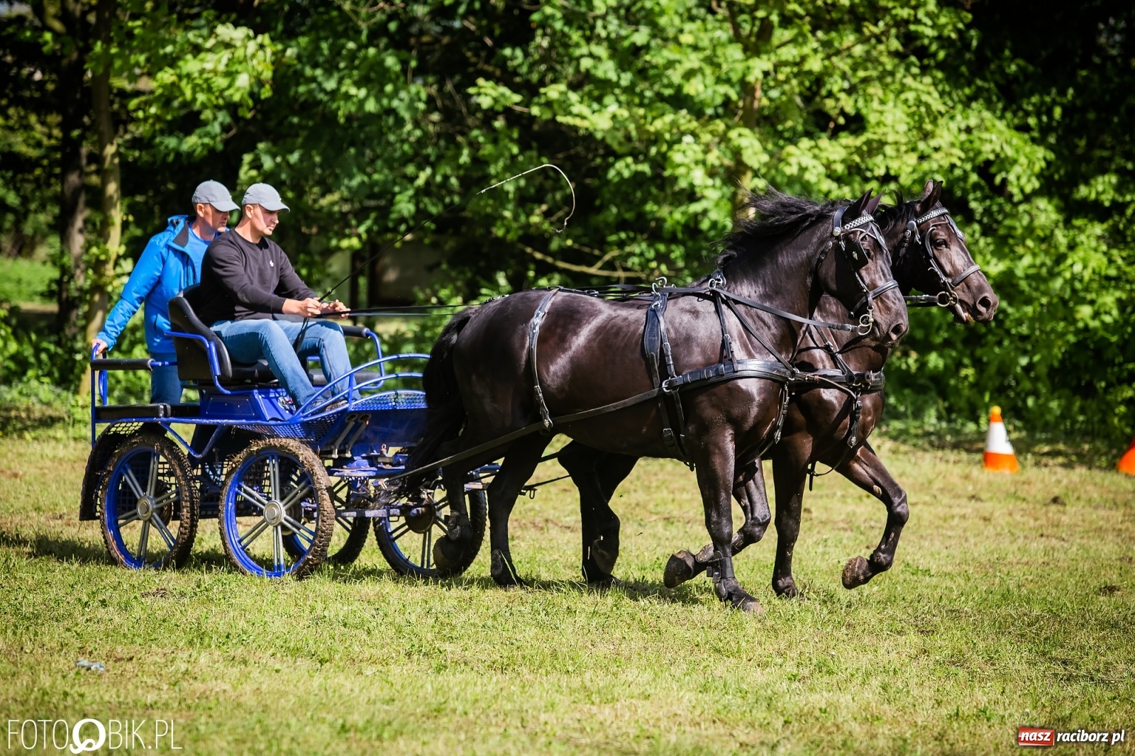 Zdjęcie w galerii na portalu naszraciborz.pl: Konna rywalizacja w Łubowicach [FOTO] wiadomości z regionu