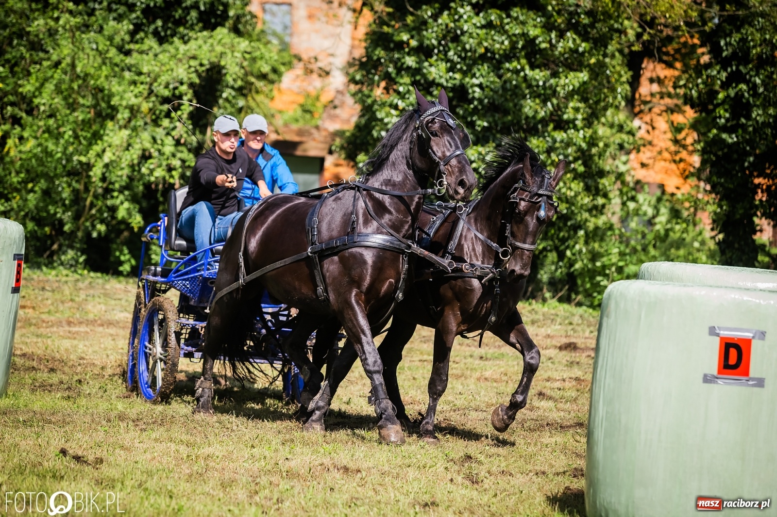 Zdjęcie w galerii na portalu naszraciborz.pl: Konna rywalizacja w Łubowicach [FOTO] wiadomości z regionu
