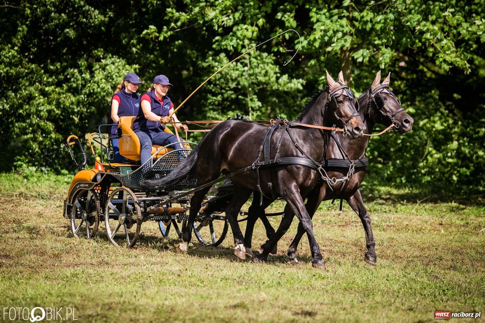 Zdjęcie w galerii na portalu naszraciborz.pl: Konna rywalizacja w Łubowicach [FOTO] wiadomości z regionu