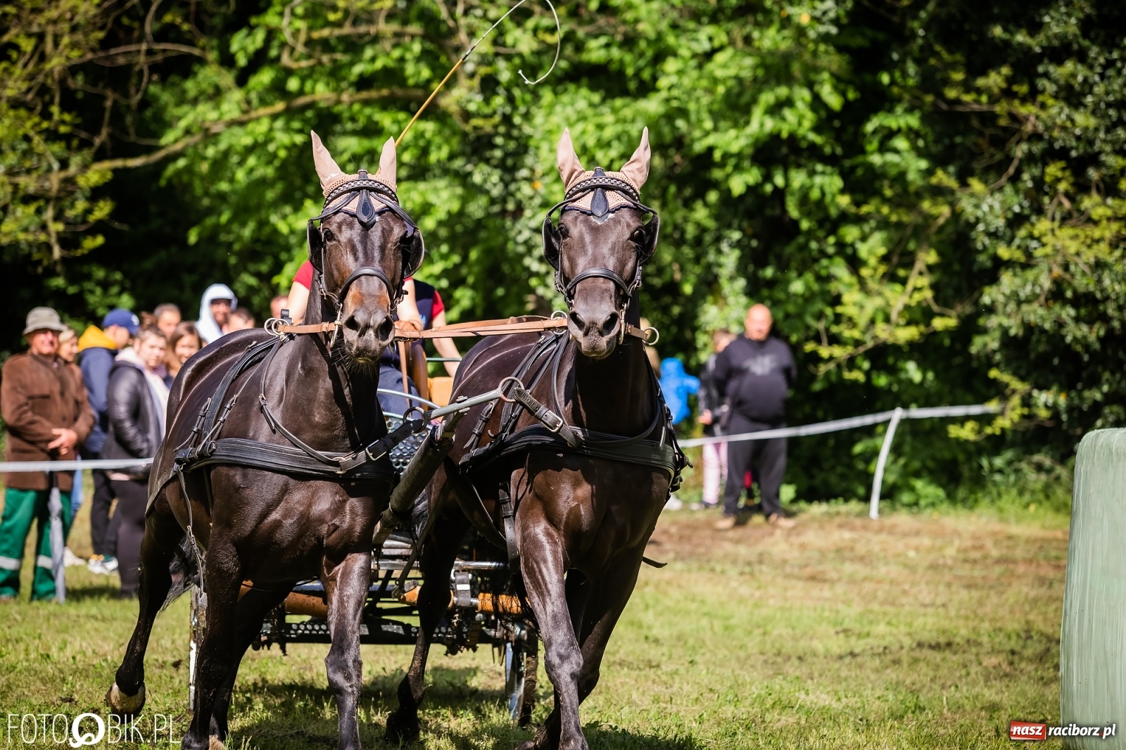 Zdjęcie w galerii na portalu naszraciborz.pl: Konna rywalizacja w Łubowicach [FOTO] wiadomości z regionu