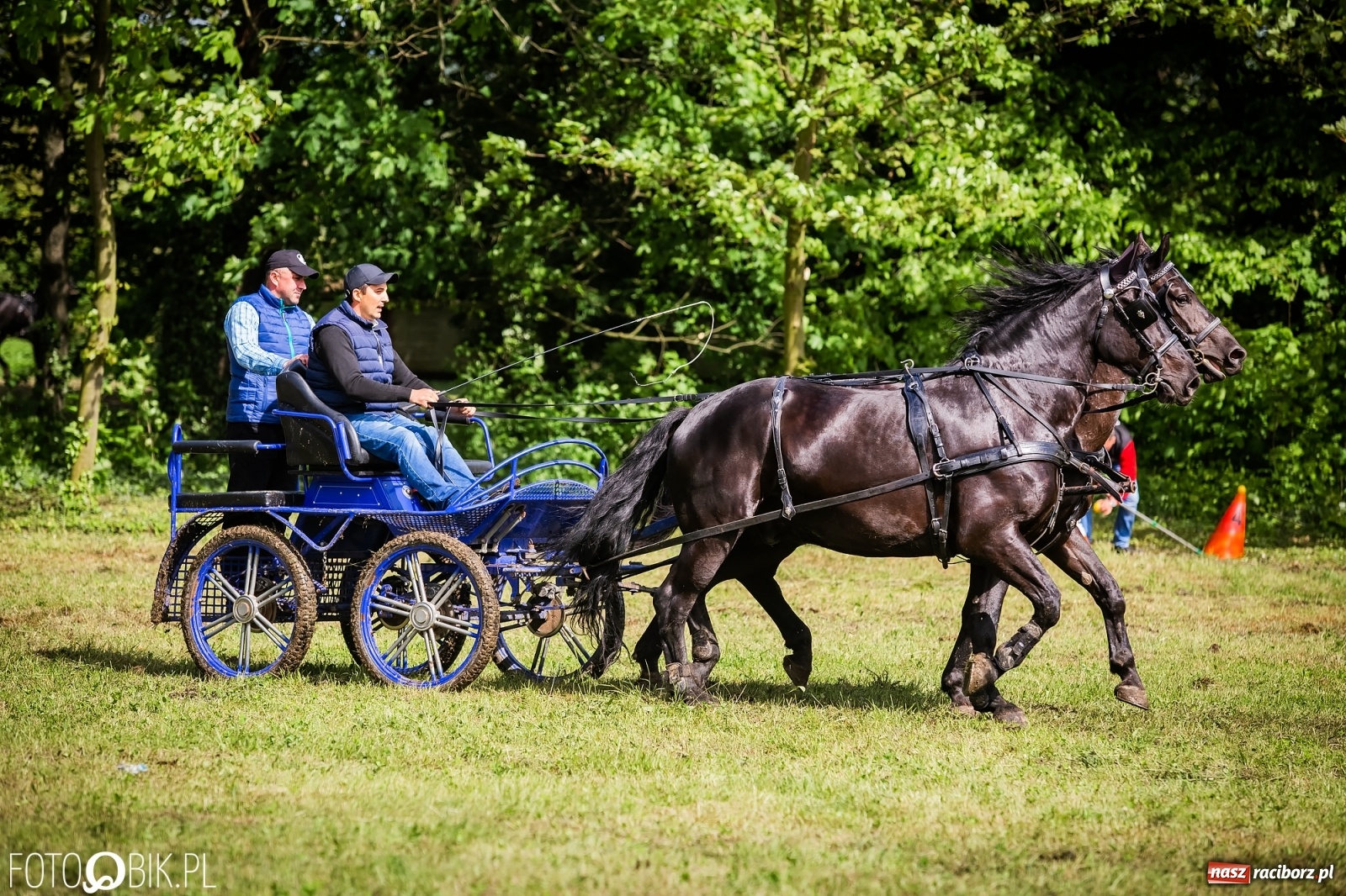 Zdjęcie w galerii na portalu naszraciborz.pl: Konna rywalizacja w Łubowicach [FOTO] wiadomości z regionu