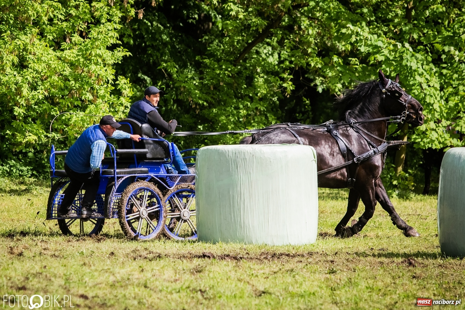 Zdjęcie w galerii na portalu naszraciborz.pl: Konna rywalizacja w Łubowicach [FOTO] wiadomości z regionu